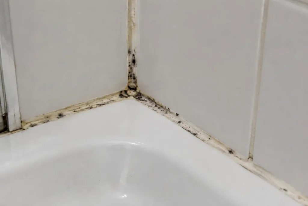 Kitbedrijf Amsterdam – beschimmelde kitranden